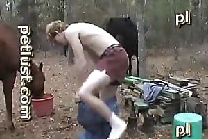 horse fucks
