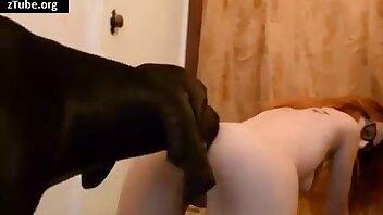 zoo sexo pornô,vídeos pornográficos de animais