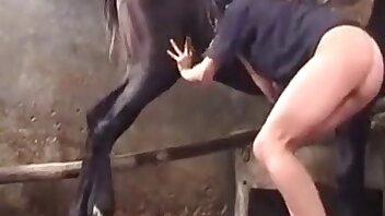 video's over bestialiteit van paarden,taboe dierenporno