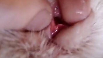 sexo com animal,vídeos pornográficos de animais
