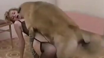 passionate zoophilia,animal porn videos