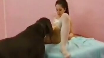 vídeos pornográficos de animais,foda intensa