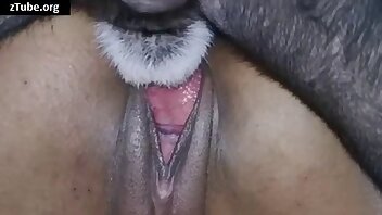 zoophile liebe,tier porno videos