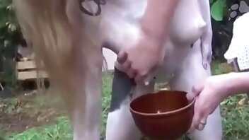 clip porno dello zoo,bestialità canina