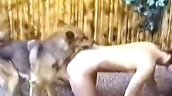 sex with animal,intense fuck