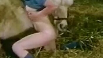 pornoa eläinten kanssa,seksiä eläimen kanssa