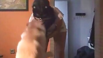 gratis pornovideoer med dyr,sexvideo med dyr
