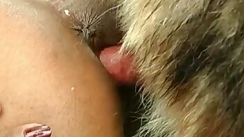 penetratie,meisje en dieren seks