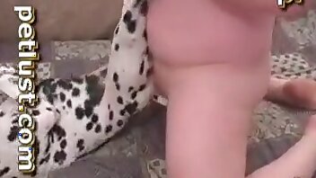 pénétration,vidéos de zoophilie