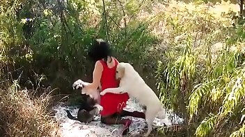 porn with animals,free zoo porn