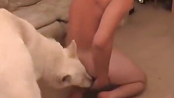 film de sexe au zoo,porno avec des animaux