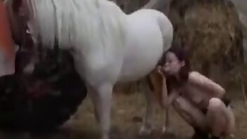 videos zu pferde-sodomie,sex mit tieren