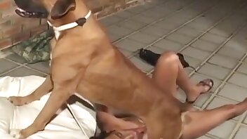 Jinsiy rasmlar va rasmlar