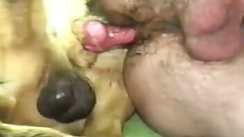 जानवरों के साथ अश्लीलता,घोड़े की पशुता वीडियो