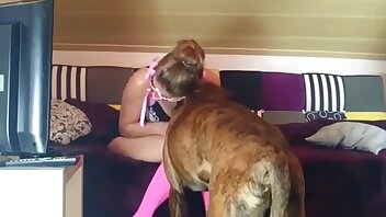 porno con animali,video porno animali