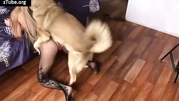 zoophilie-videos,orale sodomie