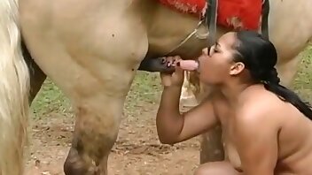 porno so zvieratami,videá s beštiálnym koňom