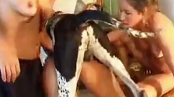 esmer,köpekle seks