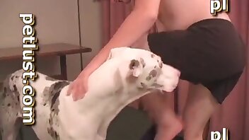 video khiêu dâm động vật