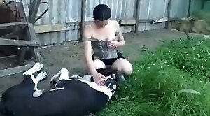 dog-sex,fucked-animals