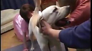asian,zoo-video