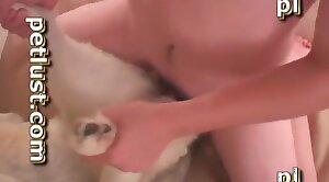 erect,penis