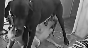 girl-animal,dog-sex