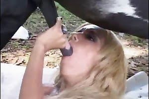 horse porn,chick