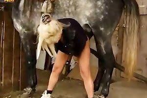 bestiality,pussy