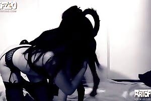 zoophilia,dog sex