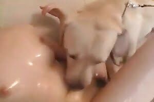 hardcore animal porn,zoofilia videos