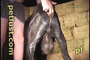 zoo sex,hardcore animal porn