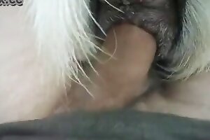 zoo sex,zoo porn videos