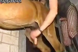 beastiality porn,zoophilia