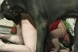 zoophilia,zoo porn videos