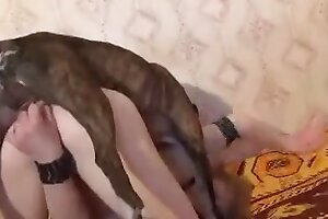 zoophilia,zoo sex