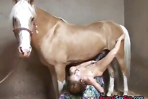 horse porn,fuck