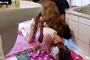 zoo sex,zoophilia