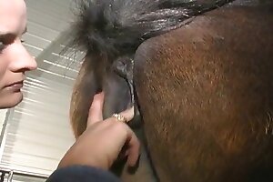 girl with animals,horse porn