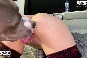 zoo porn videos,zoofilia videos