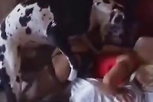 bestiality,amateur bestiality