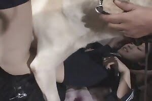 girl with animals,animal fuck