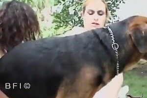 zoo sex,dog sex
