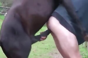 gay zoo porn,zoo sex