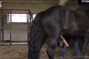 unleash,hardcore animal porn