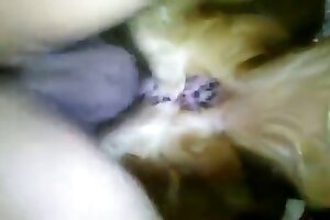 hardcore animal porn,dog sex