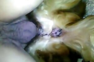 hardcore animal porn,dog sex