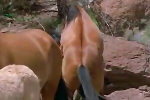 hardcore animal porn,zoo sex