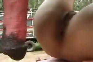 zoo sex,horse porn