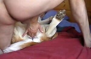 Chico colgado follando felizmente con una bestia obediente XXX